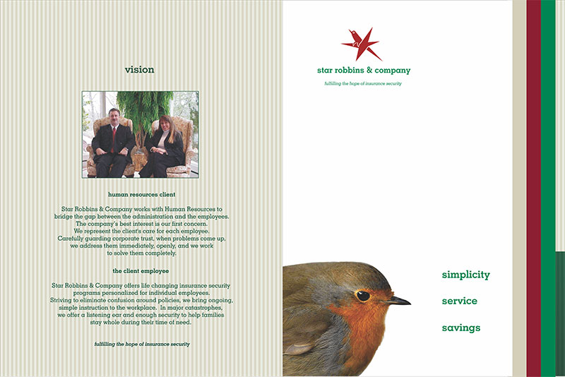 Inside Brochure - vision and Content Simplification
