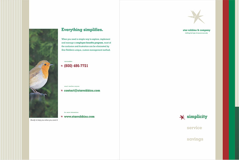 Brochure example showing graphic interest elements