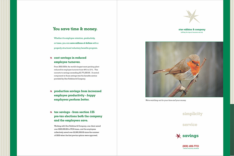 Star Robbins brochure showing text simplification