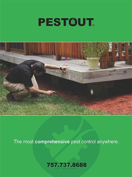 PESTOUT brochure cover - showing comprehensive attention to detail in pest control.