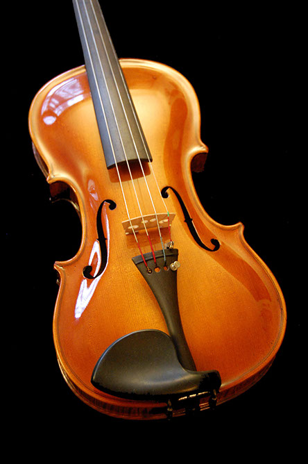 Refurbished Violin Front, © Copyright, MINT Design, 2008